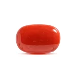 Red Coral