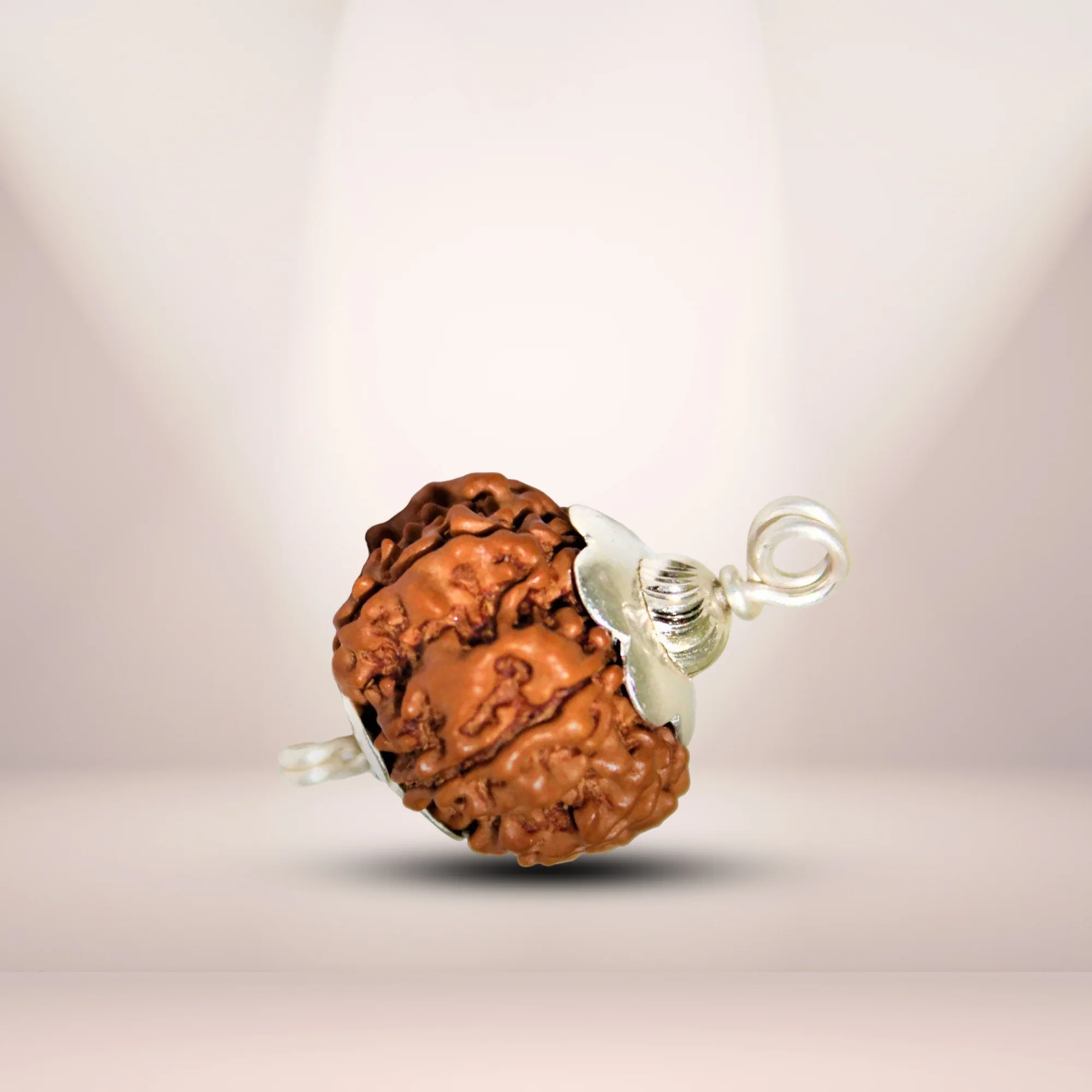 7-s-4_9e529483-dddd-4651-bacd-e98b5fd93059 7 Mukhi Rudraksha - Image 1